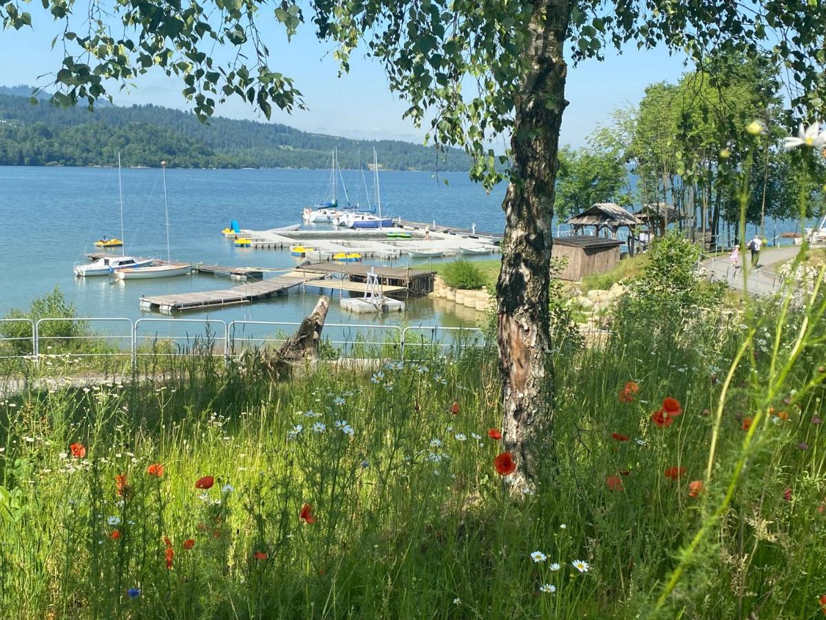 Apartament Czorsztyn Lake & Ski Exteriör bild